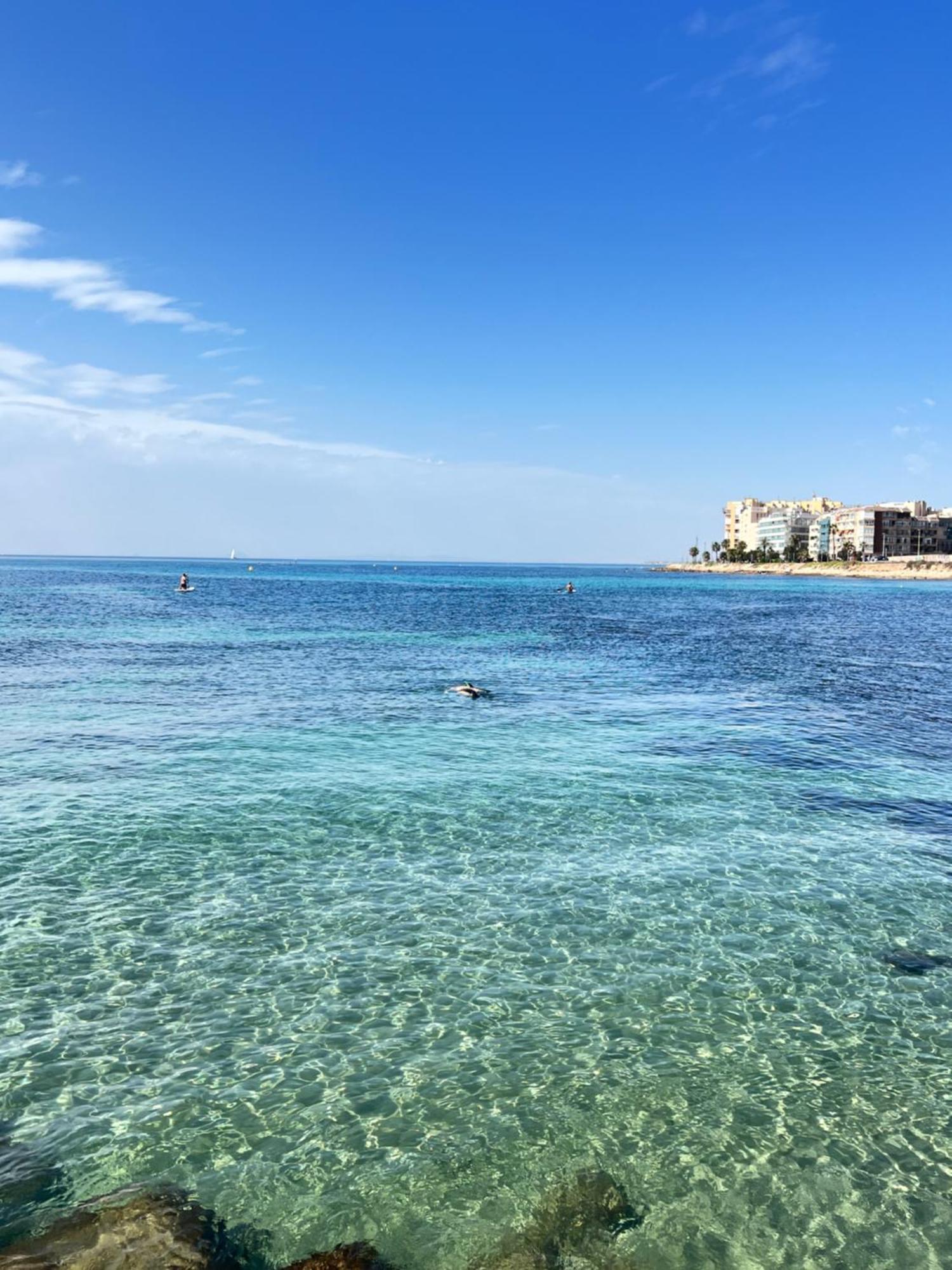 Renovated Cosy Studio 350 M Playa Del Cura, With Official Touristic License Torrevieja Exteriér fotografie